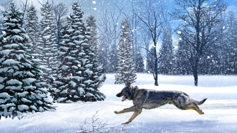 1759925_winterTrees_Layered_LandscapeA (2) (2)