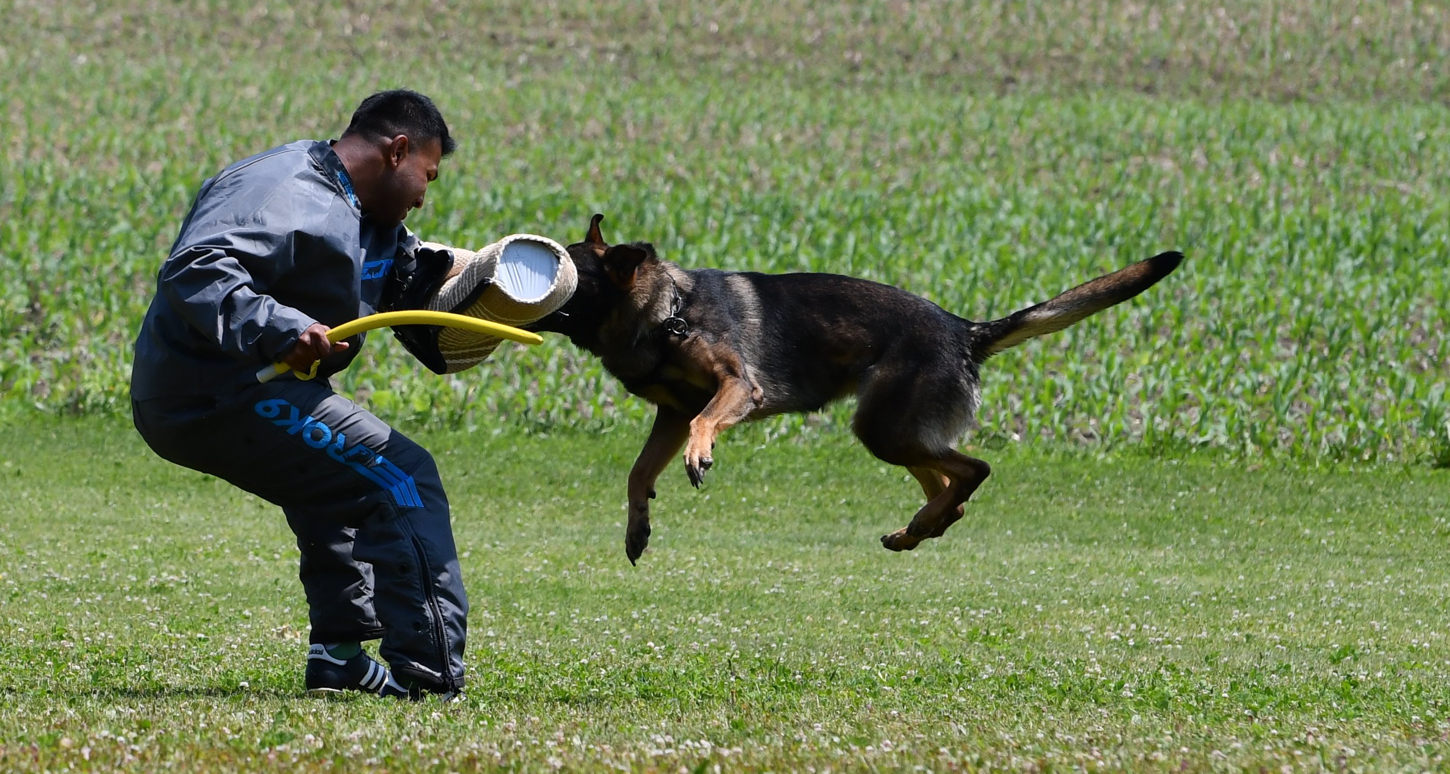 Update National Helper Seminar Trial Schedule Ontario Region GSSCC update-national-helper-seminar-trial-schedule-ontario-region-gsscc